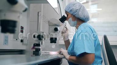 现代医学实验室的人工授精。 实验室工作人员在处理细胞时使用工具。